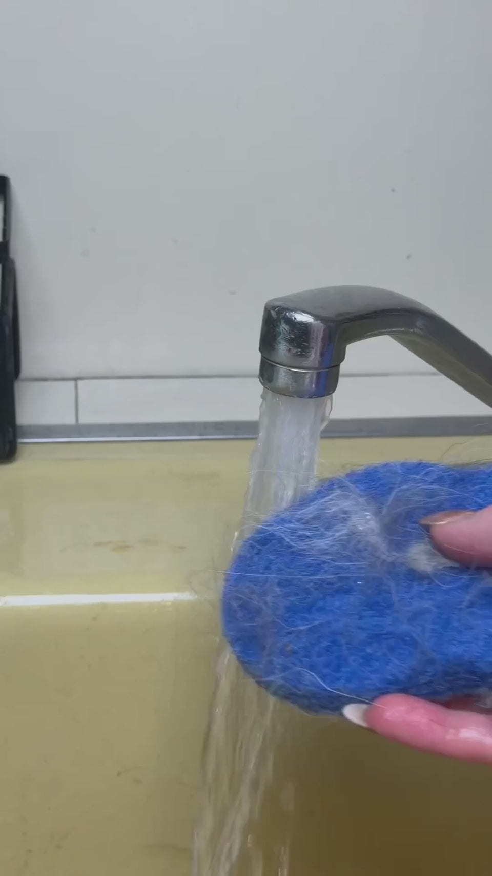 Laundry Pet Hair Removal Fish rinse and reuse demonstration